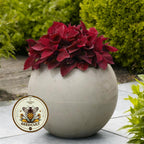 NEW! Sweet Paprika Coleus Seeds, Premium Sun, Indoor, Outdoor, Coleus for Sun or Shade Plant CC1810P