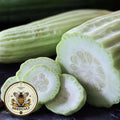 Armenian Yard Long Pale Green Cucumber Seeds, Snake Cucumber, Curcumis Sativus Var Flexuosus, CU1930