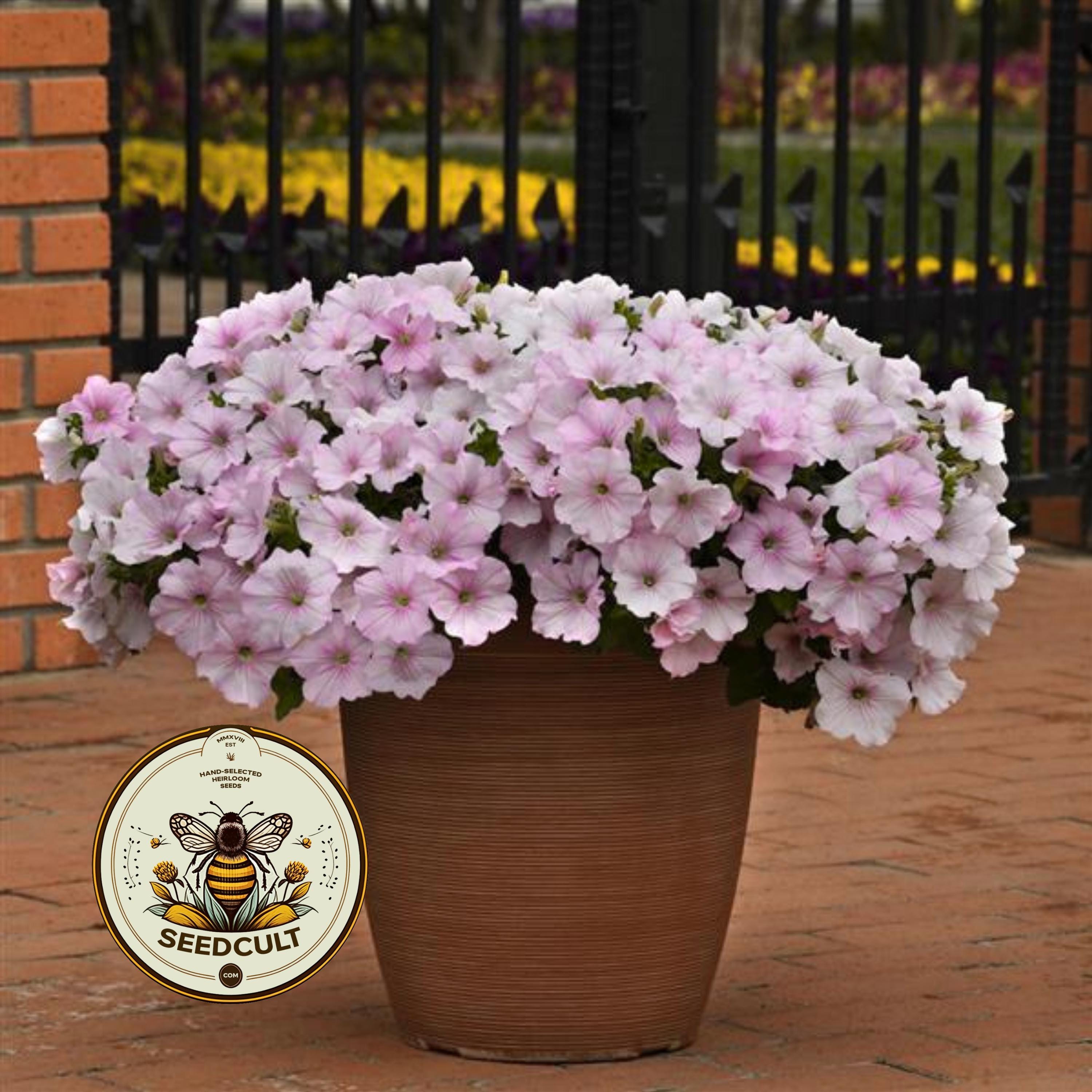NEW! Easy Wave Pink Pearl Petunia Seeds, Pelleted for easier sowing and germination, Petunia Hybrida PE8910P