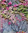 Boston Ivy Seeds, Parthenocissus Tricuspidata PT0110
