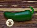 Jalape√±o Pepper Seeds, Hot Peppers, Jalapeno, Capsicum Annuum CH3325