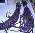 Purple Yard Long Beans, Mart Tsu In, Vigna unguiculata, Asparagus Bean VI0420