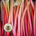 REDVENTURE CELERY