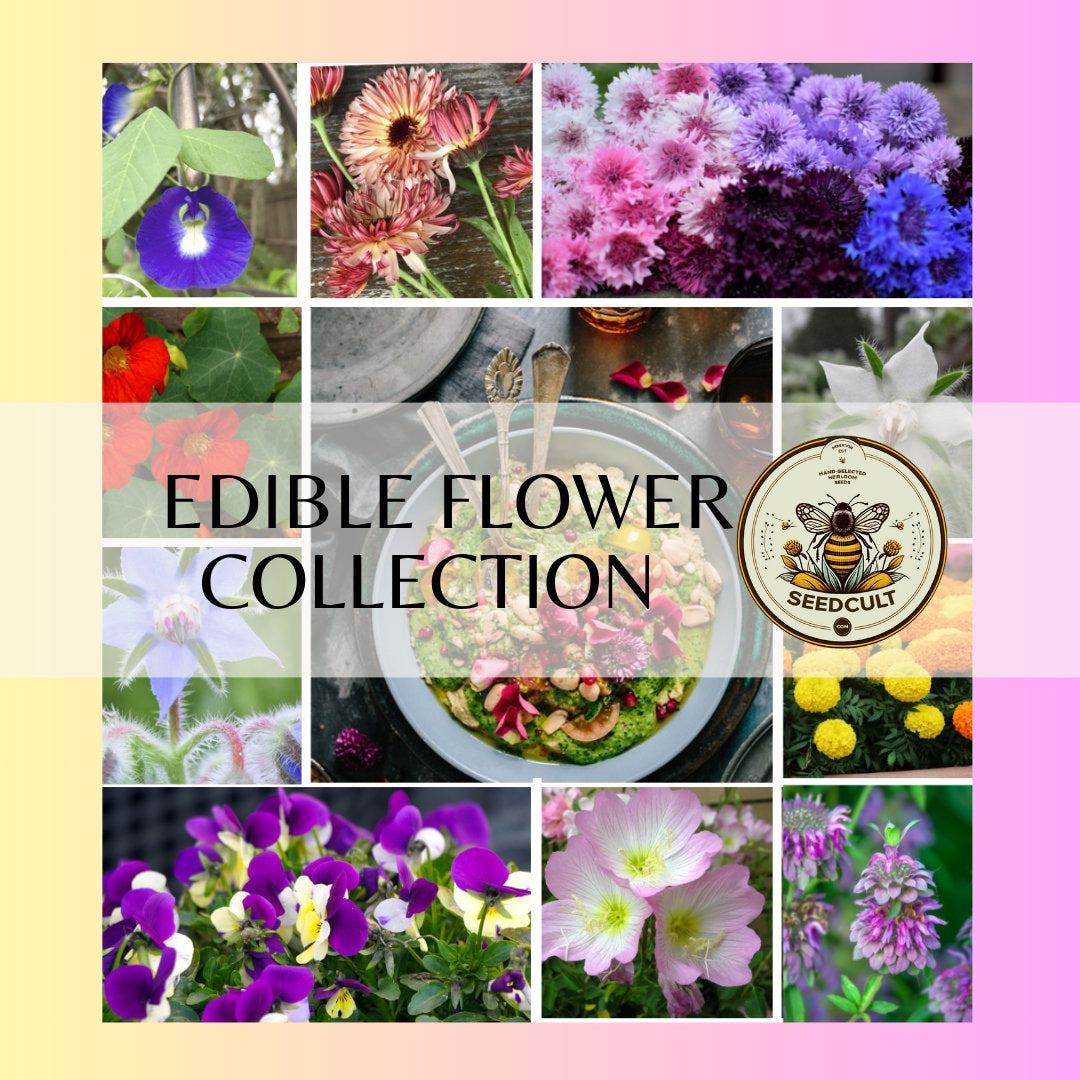 Edible Flower Seed Gift Box Collection, Sampler Gift, 10 Individual Packs, 820 seeds, 01EF10