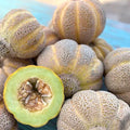 Jenny Lind Melon Seeds, Cucumis melo, CU2020