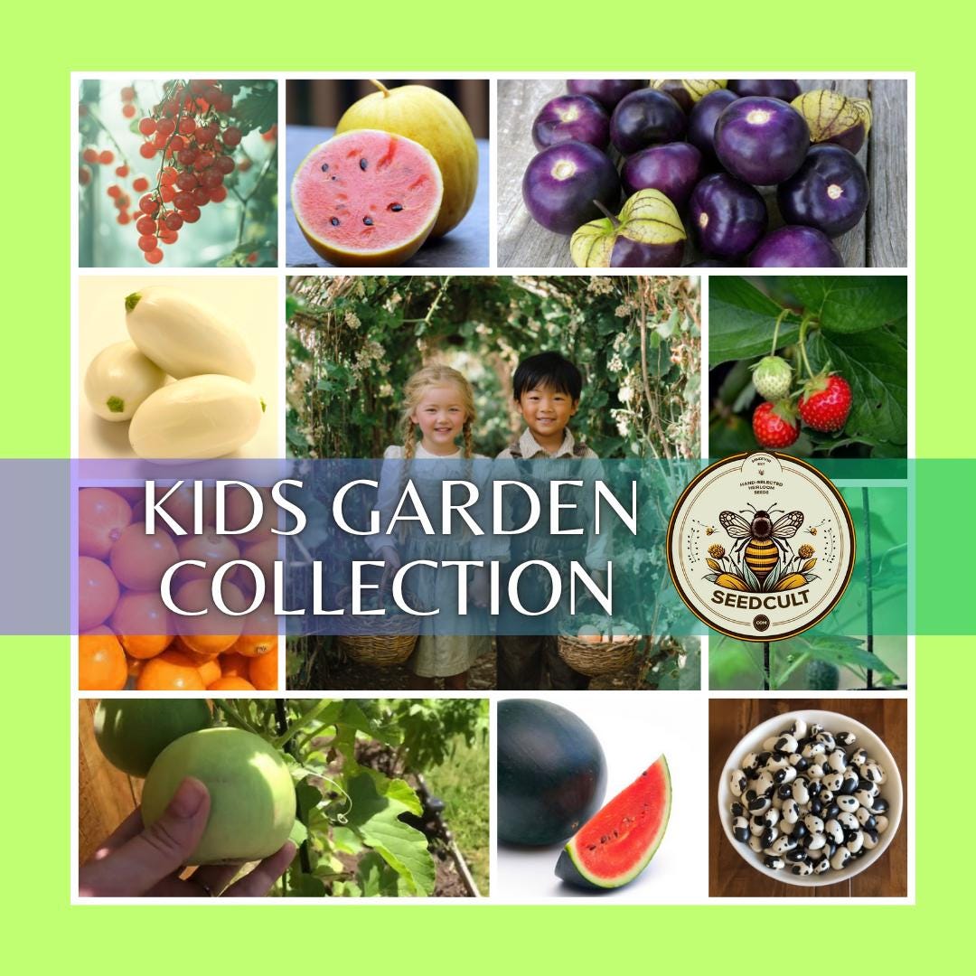 NEW! KID'S GARDEN Collection! Gift Box for little budding farmers, All Edibles, 12 Individual Packs, Free Shipping, 01KC12