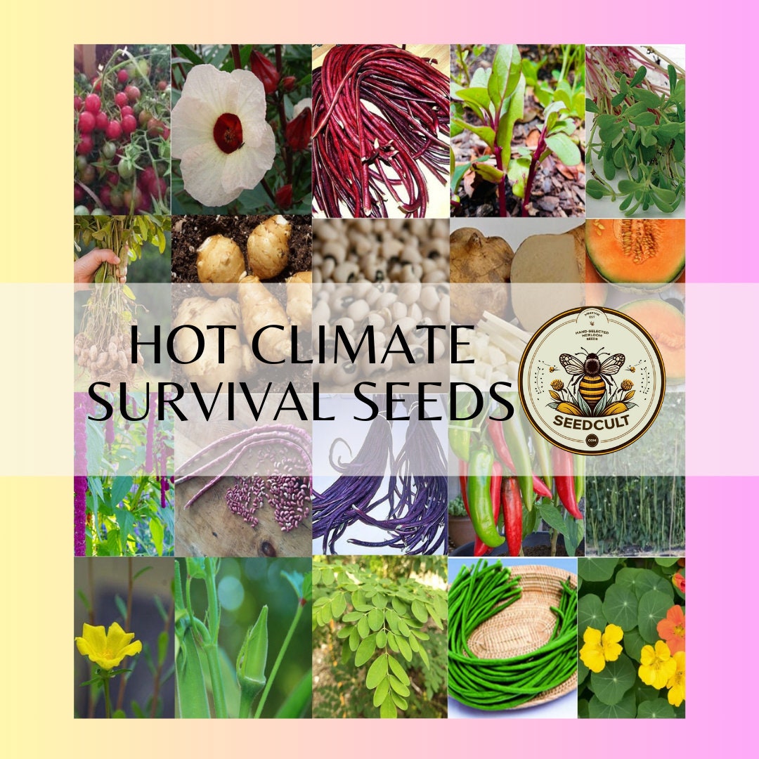 HOT CLIMATE Survival Seed Kit over 1,600 seeds in Resealable Mylar with Oxygen pack and Dwarf Moringa, Fl, Tx, La, Ca, Az, Nv, Hi