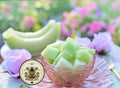 Green Flesh Honeydew Melon Seeds, Cucumis Melo CU1025