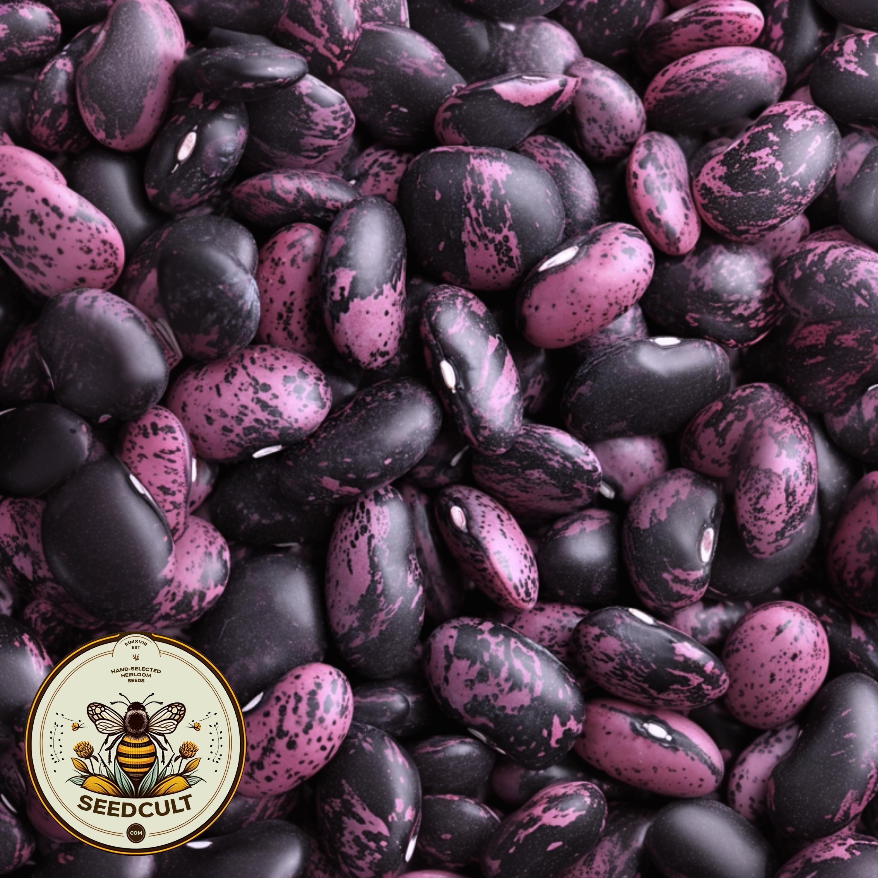 NEW! Scarlet Emperor Runner Bean Seeds, Phaseolus Coccineus, PV1215