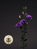 NEW! Purple Lisianthus, ABC Series, Cut Flowers, Eustoma Grandiflorum, EU5220P