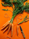 2000 Bulk Heirloom Carrot Seeds, Chantenay Red Core Carrot, Daucus carota DC032M