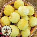30 Organic Lemon Cucumber Seeds CU0230