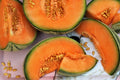 Bulk Hot Climate Cantaloupe Seeds, Hale's Best, Nearly 100% Resistance to Powdery Mildew! Heirloom Cucumis melo CU0950