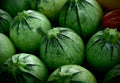 Bulk Organic Round Zucchini Seeds, Curcubita Pepo CB0350