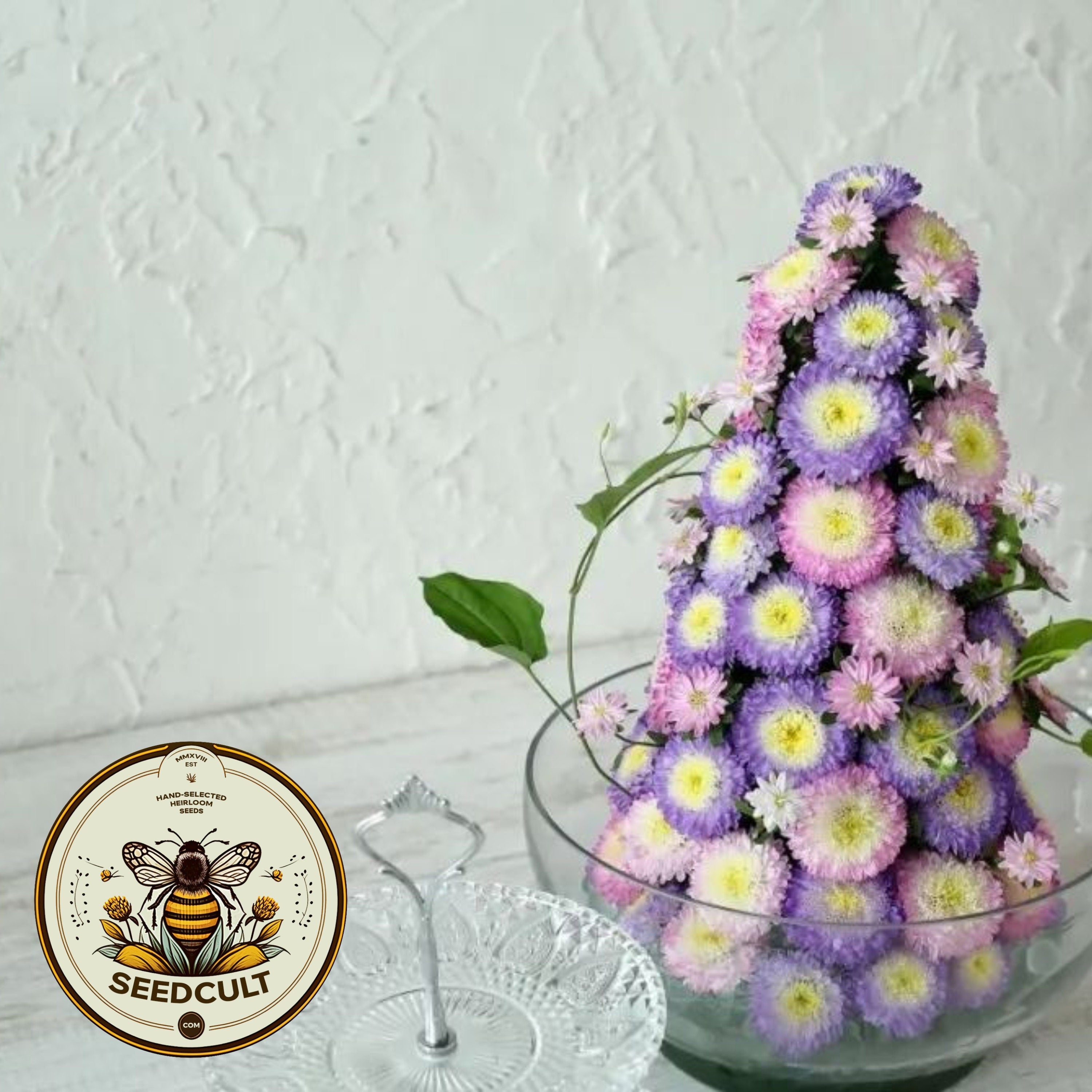 Japanese Top Blue + Top Rose Mix Aster Seeds, Bonita Callistephus Chinensis, CU8540