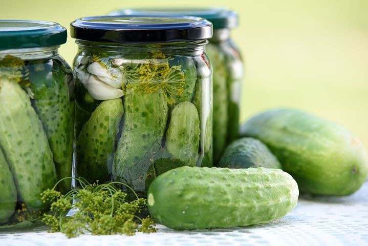 Organic National Pickling Cucumber Seeds, Organic Curcumis Sativus CU0420