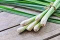 Organic Culinary Lemongrass Seeds, West Indian, Lemon grass, Medicinal Plants, Cymbopogon citratus CY0120