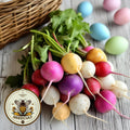 Easter Egg Radish Seeds with Yellow! Raphanus Sativus, Pink, Purple, Yellow, Red and White RA033C