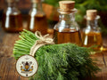 Bulk Organic Dill Seeds, Anethum graveolens, Medicinal Culinary Herb AN201C