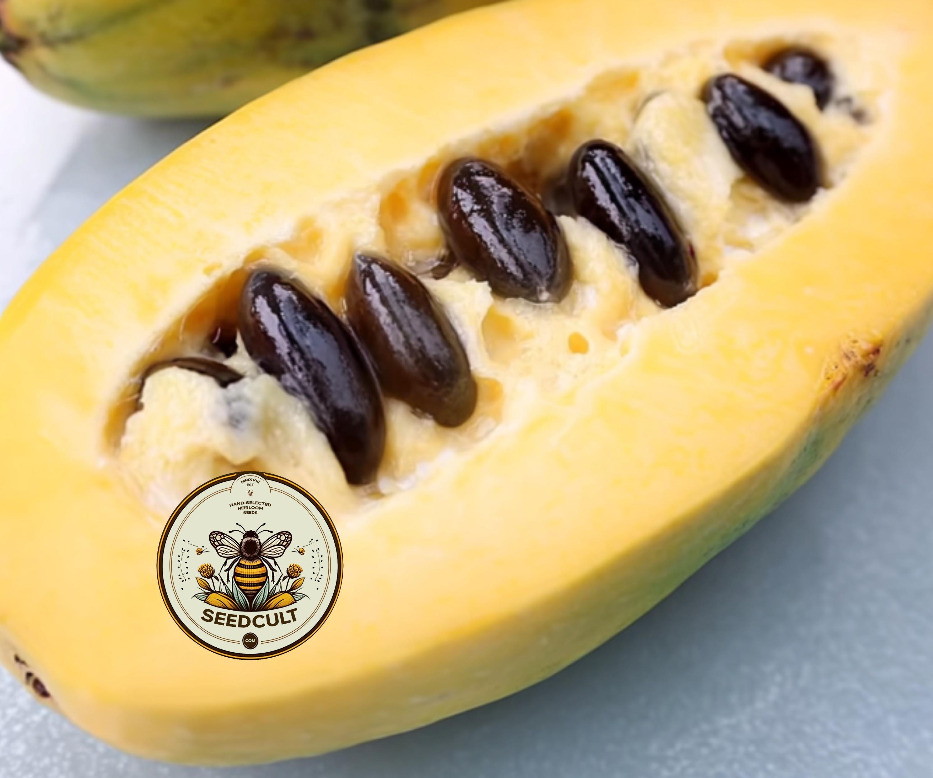PawPaw Fruit Tree