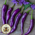 Buena Mulata Pepper Seeds, Hot Peppers, Capsicum Annuum CH3110