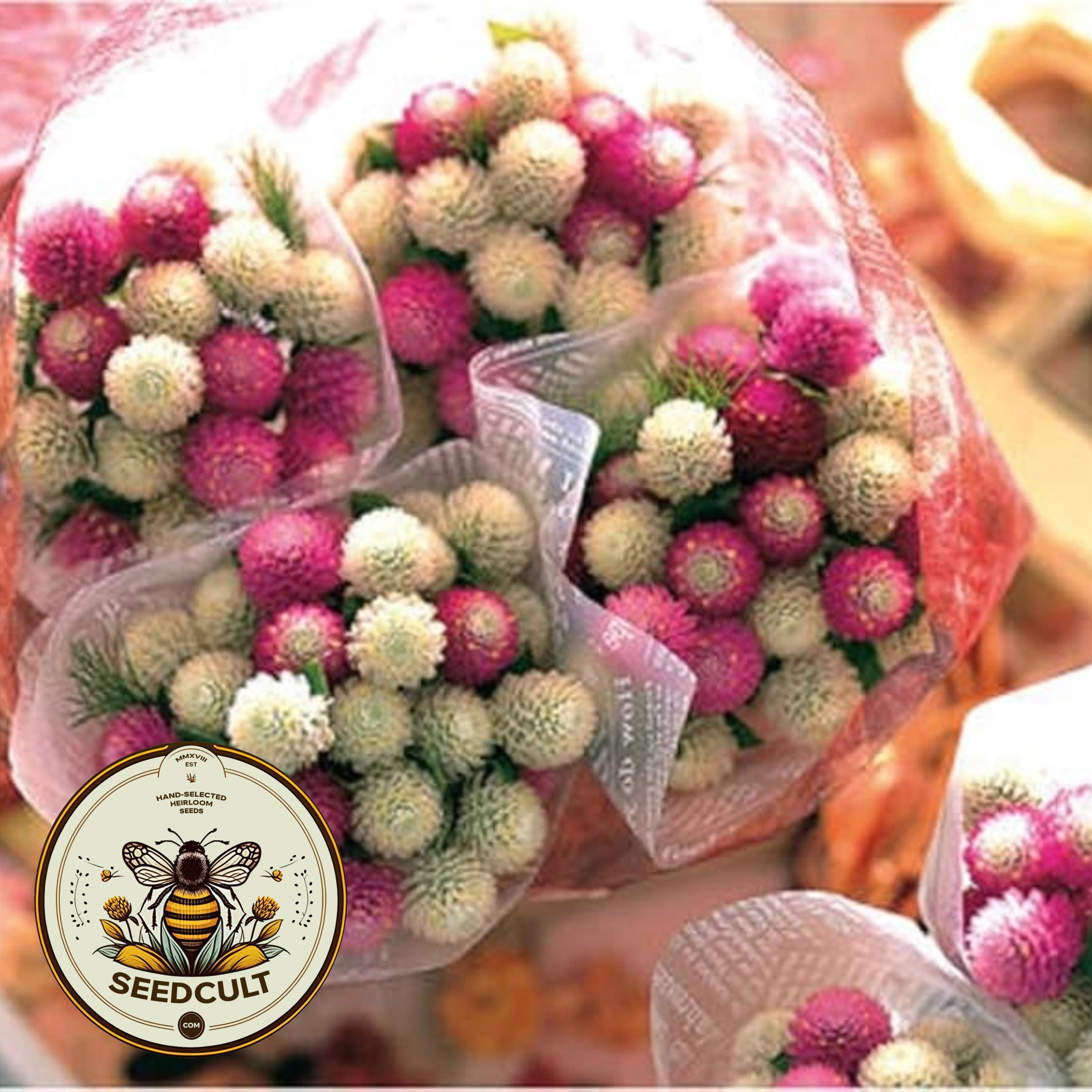 Cotton Candy Mix Gomphrena Seeds, Globe Amaranth GO1120
