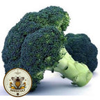 Bulk Waltham 29 Broccoli Seeds, Heirloom Non GMO, Brassica Oleracea, BR0215M