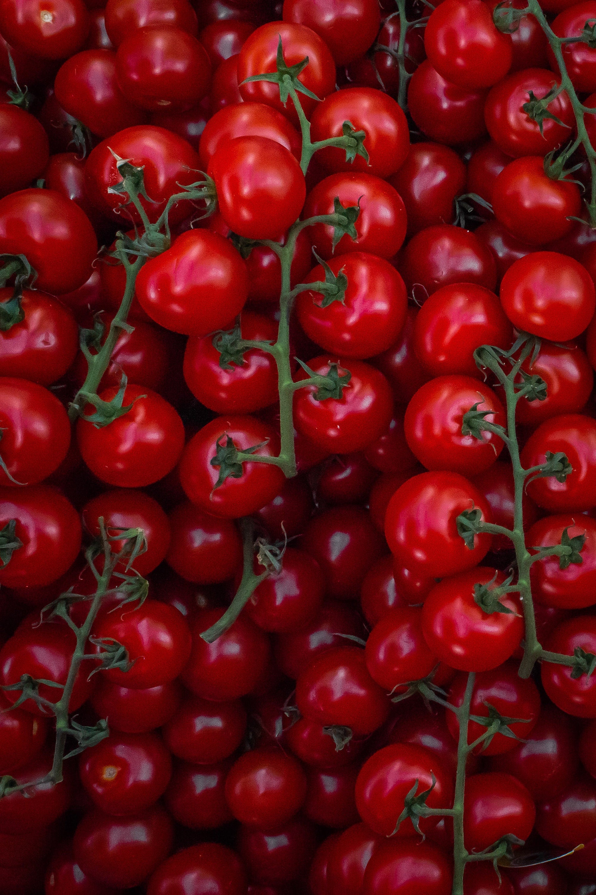 200 Bulk Large Red Cherry Tomato Seeds, Non-GMO Heirloom, Solanum Lycopersicum LY072C