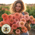 Benarys Giant Salmon Rose Zinnia Seeds, Largest Giant Zinnias, Zinnia Elegans ZE3725