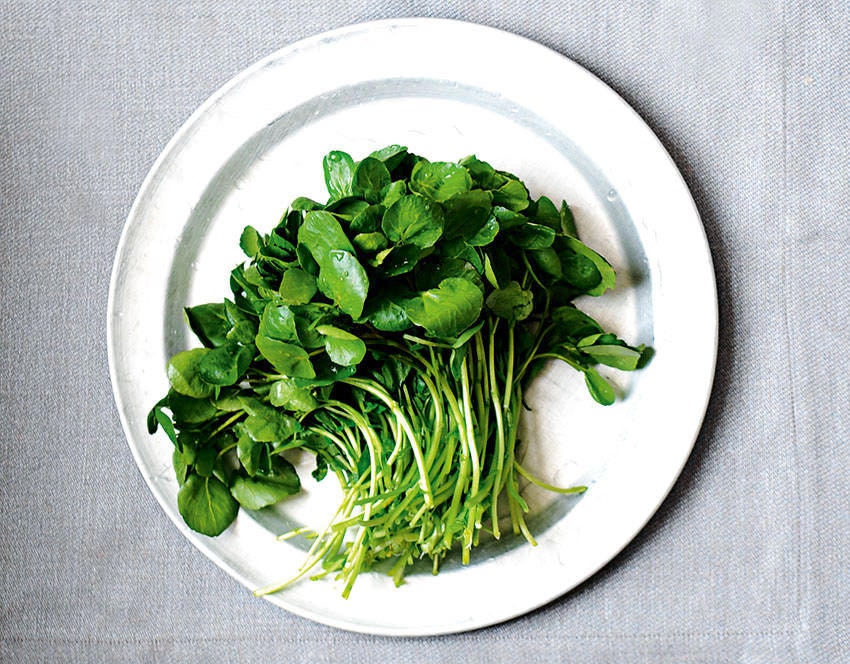Bulk 200 Organic Watercress Seeds, True Watercress, Nasturtium Officinale NA202C