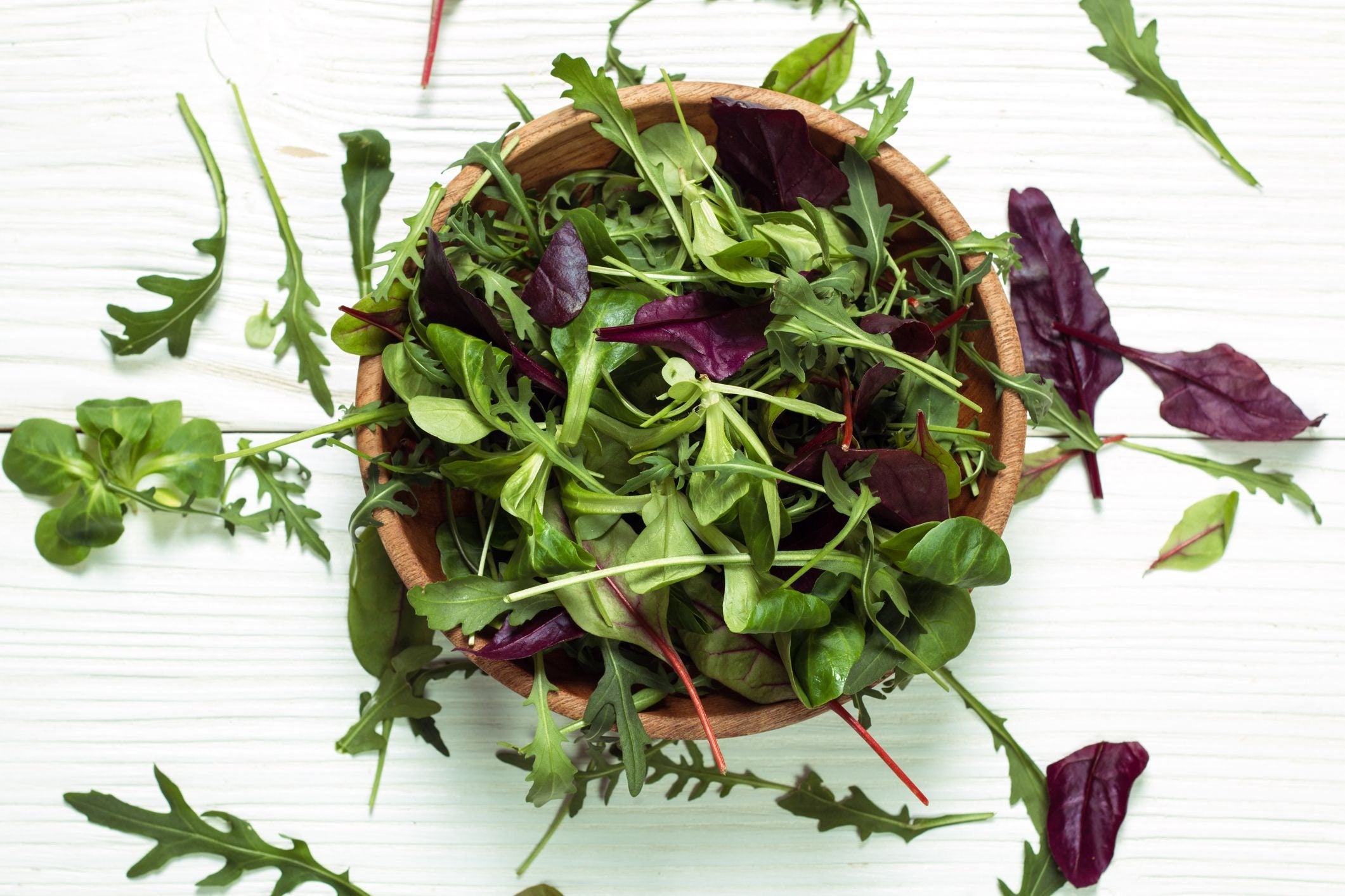 Bulk 500 Mesclun Mix Seeds, Heirloom Arugula, Endive, Frisee and Oak Leaf ML015C
