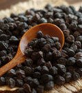NEW! Black Garbanzo Bean Seeds, Hummus, Black Kabouli Chickpeas, Cicer Arietinum CI6025