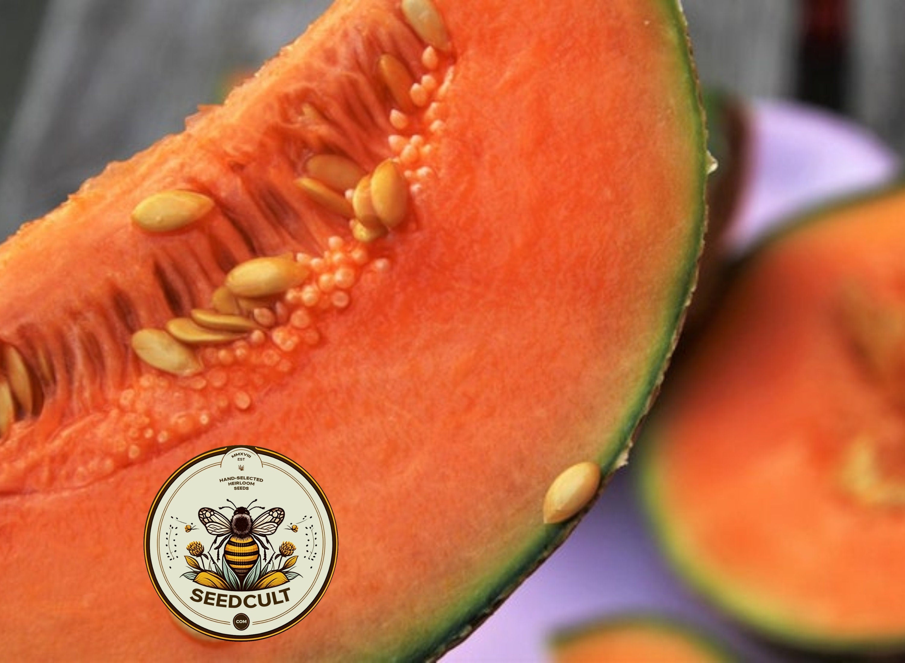 Hot Climate Cantaloupe Seeds, Hale's Best, Nearly 100% Resistance to Powdery Mildew! Heirloom Cucumis melo CU0925