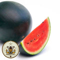 40 Sugar Baby Watermelon Seeds, Citrullus lanatus CI4040