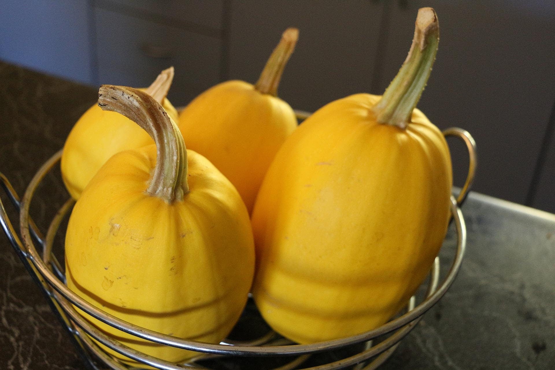 Spaghetti Squash, Summer Planting, Winter Squash Seeds, Curcubita Pepo CB0220
