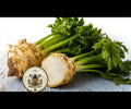 NEW! Giant Prague Celeriac Seeds, Heirloom Old World Root Vegetables, Apium Graveolens var Rapaceum, AP045C