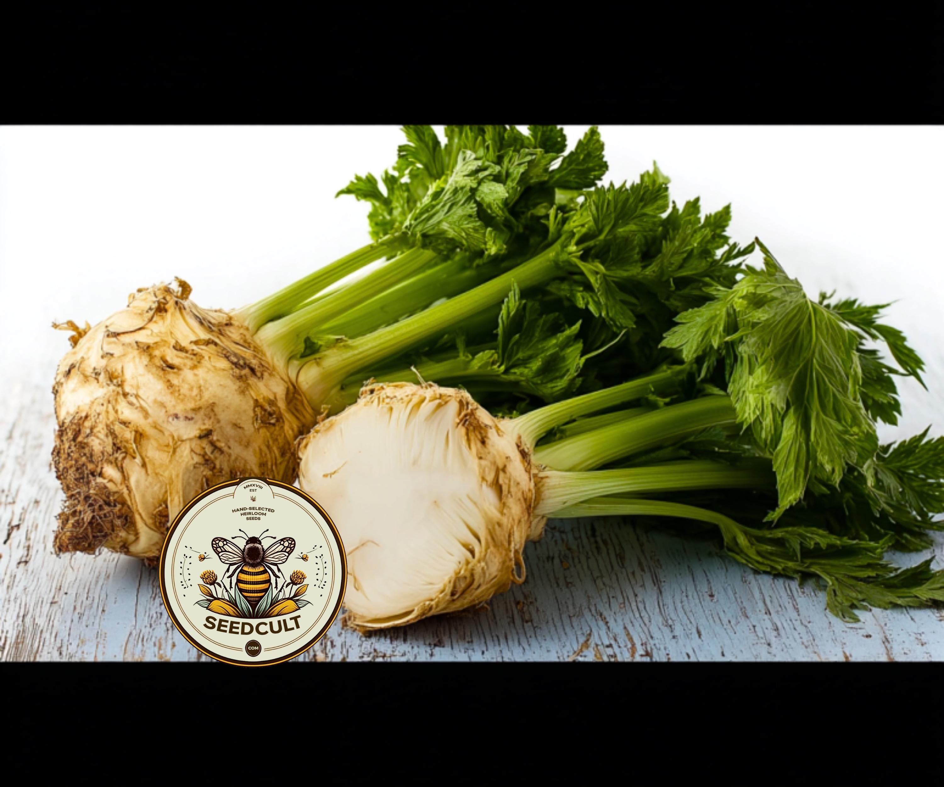 NEW! Giant Prague Celeriac Seeds, Heirloom Old World Root Vegetables, Apium Graveolens var Rapaceum, AP045C