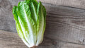 Bulk Parris Island Romaine Lettuce Seeds, Lactuca Sativa LC013C