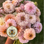 Pastel Mix Zinnia Seeds, Peach, Light Pink, Lilac, Mauve and Cream, ZE5425
