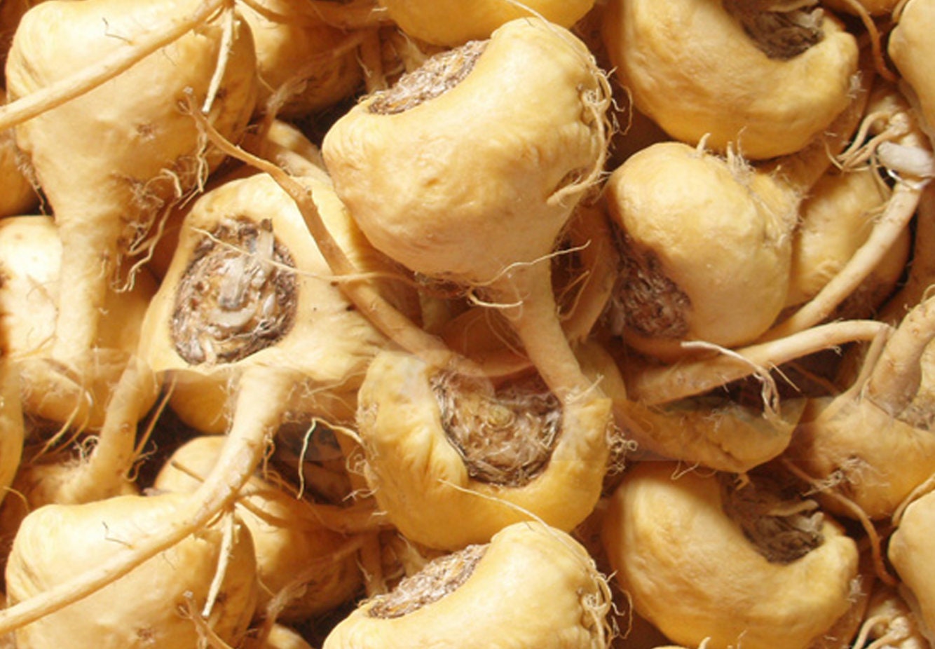 White Maca Seeds, Peruvian Ginseng, Lepidium Meyenii, Medicinal root plant LE0125