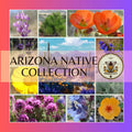 NEW! Arizona Native Seed Collection, 2,000+ Seeds, Gift Box, 18 Individual packs, Free Shipping