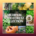 NEW! Medieval Food Forest Box, Gift Box, Perennial Ancient Seeds, 12 Individual Packs, 01MC11