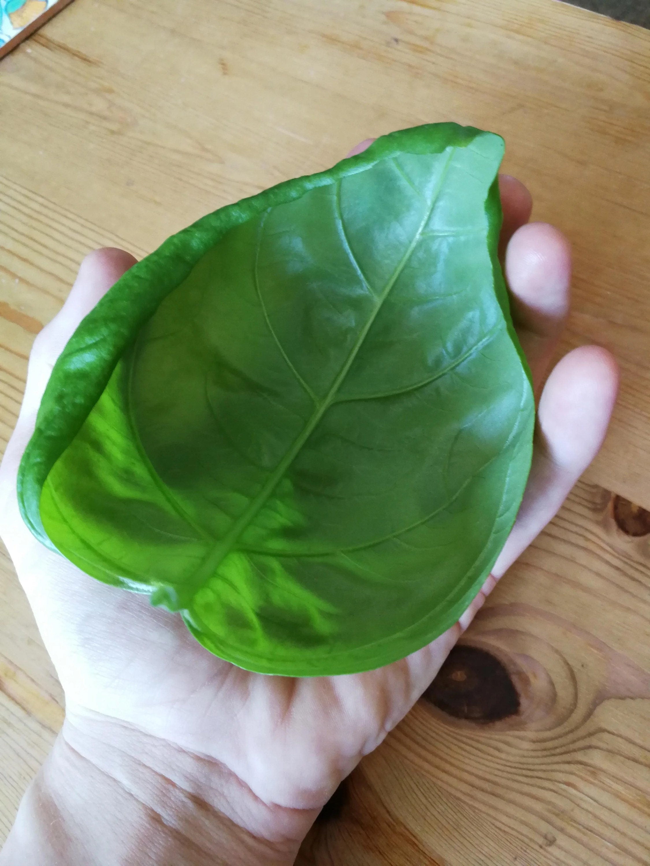 Bulk Large Leaf Italian Basil Seeds, Ocimum Basilicum OC052C