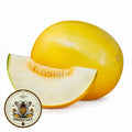 Golden Delicious Melon, Gold Skin, Cream Flesh Honeydew Melon Seeds, Cucumis Melo CU2120