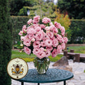NEW! Deep Rose Lisianthus, ABC Series, Cut Flowers, Eustoma Grandiflorum, EU5020P
