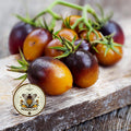 INDIGO KUMQUAT TOMATO