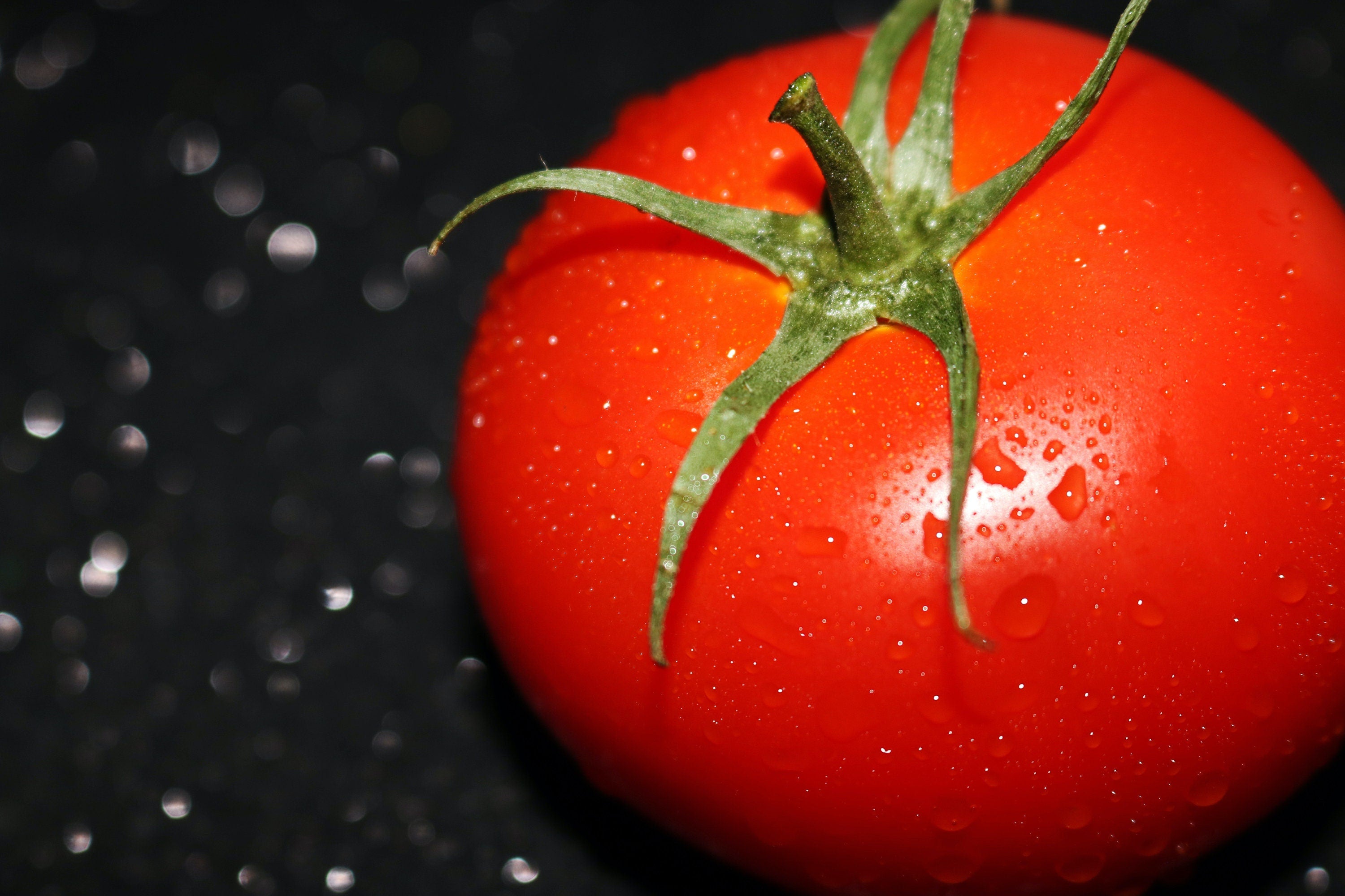 Bulk 100 Marglobe Tomato Seeds, Non-GMO Heirloom, Solanum Lycopersicum LY081C