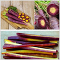 Purple Elite Carrot Seeds, Purple with Yellow Center, Organic Daucus Carota DC0650