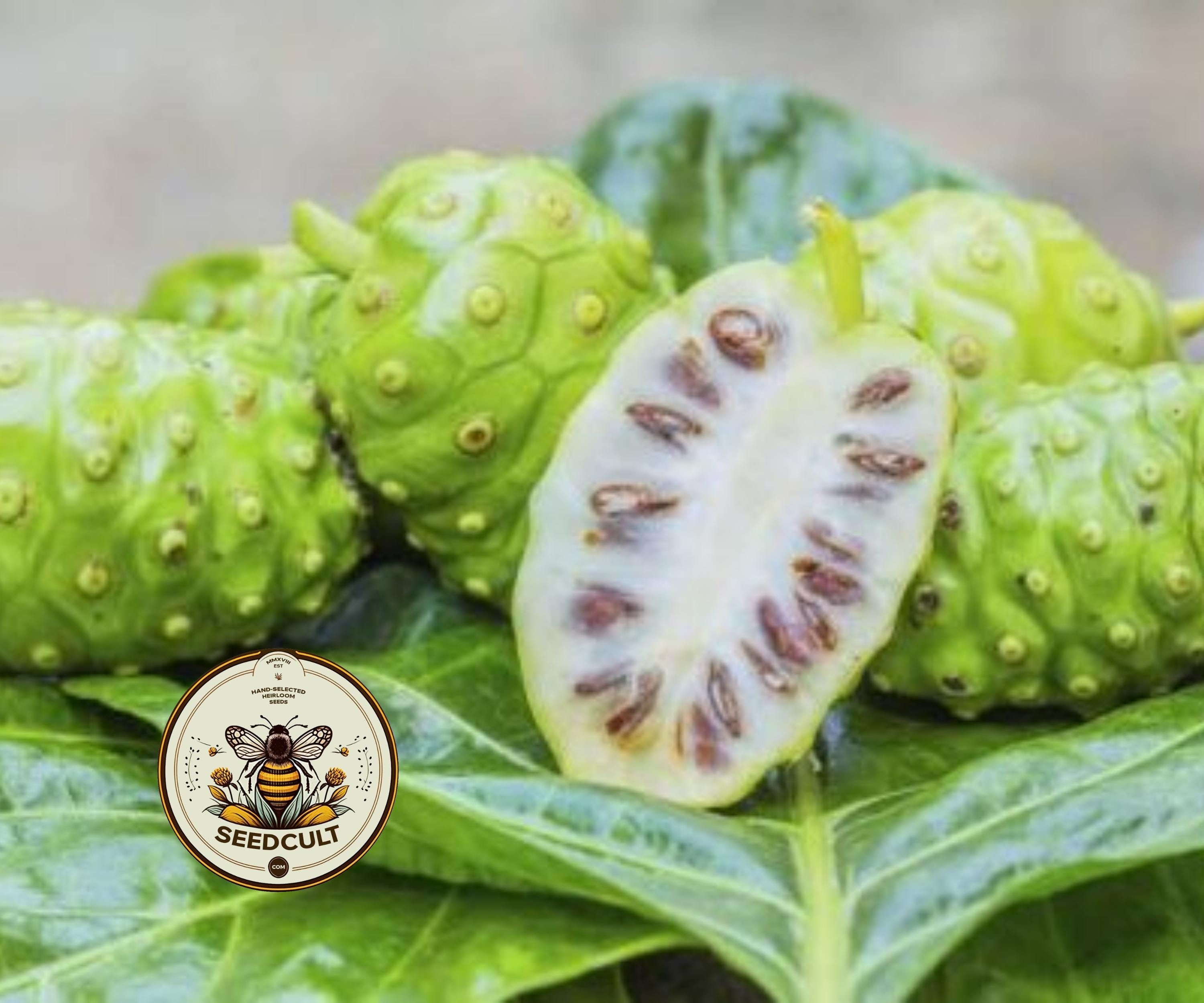 NONI – SeedCult