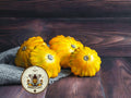 Yellow Patty Pan Squash Seeds, Cucurbita Pepo, Scallop, Summer Squash CB0520